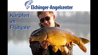 Karpfenangeln - Karpfen im Frühjahr vom Ufer aus - Elchinger Angelcenter