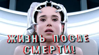 Жизнь после смерти! Исповедь бывших покойников!