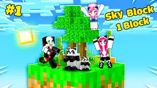 REDHOOD THỬ THÁCH 24 GIỜ SINH TỒN SKYBLOCK 1 BLOCK TRONG MINECRAFT*MỀU 24H SỐNG TRONG SKY BLOCK MCPE