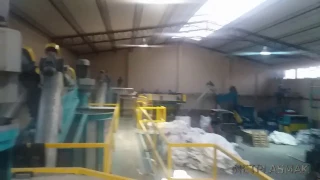 PET Bottle Recycling Line - PET şişe geri dönüşüm hattı