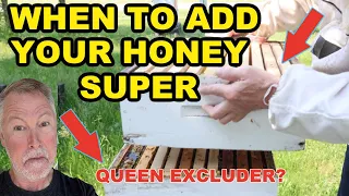 Beekeeping | WHEN To Add Your Honey Super & Queen Excluder