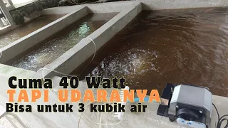 gila ni aerator cuma 40 Watt tapi udaranya 80 liter permenit cocok untuk kolam bioflok pemula