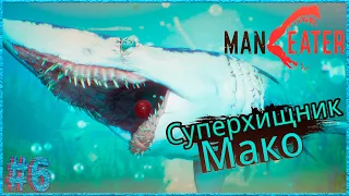 ВЗРОСЛАЯ АКУЛА VS МАКО-УБИЙЦА И САПФИРОВАЯ БУХТА - MANEATER Прохождение #6