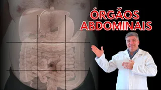 ANATOMIA DO ABDOME PARA O EXAME FÍSICO