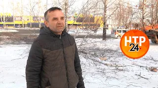 В Нижнекамске валят сухостойные деревья