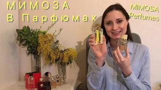 🙂МИМОЗА в ПАРФЮМАХ.😊/ MIMOSA PERFUMES.🙂☘️ L’ Artisan Parfumeur D&G Frédéric Malle EX NIHILO☘️.