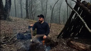 Solo Camp In The Forests Of Northern Iran (Gilan) And Cooking On Fire