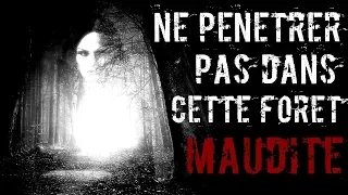 [creepypasta FR] La forêt maudite ( histoire d'horreur inédite )