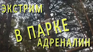 веревочный парк адреналин