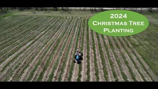 From Seed to Spruce: 2024 Christmas Tree Planting