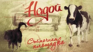 Съёмочная площадка: Надой