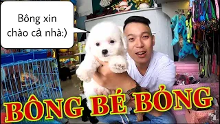 Chú chó đi hai chân | Clip đặt biệt: Đón thành viên mới BÔNG BÉ BỎNG (dog walking on two leg)