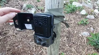 Review of Ceyomur Wildlife Camera CY60