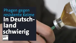 Tausende Tote: Wie multiresistente Keime bekämpft werden können | mehr/wert | BR24