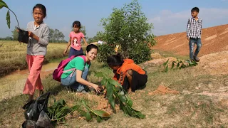 Planting trees in Romdoul, Cambodia /2019-12-06_TreesRd