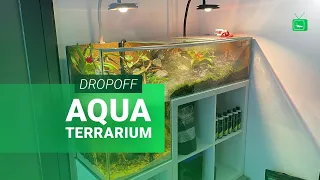 DROPOFF AQUARIUM  | AQUATERRARIUM MIT WASSERFALL | GarnelenTv