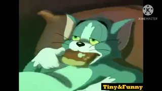 Tom and Jerry Tales: Beefcake Tom, but only the belly parts.
