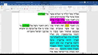 parshat shemot - 17 Tevet 5782