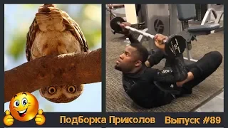 Лучшие приколы 2019 Март | Тест на психику | ПО ПРИКОЛУ#89😂 | Свежая подборка