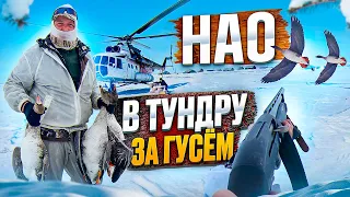 СУПЕР ВЕСЕННЯЯ ОХОТА НА ГУСЯ В ТУНДРЕ  2023 часть 1. (ШОК)