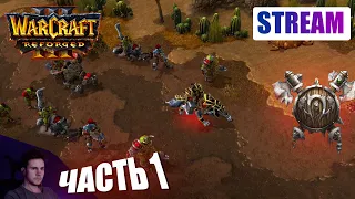 WarCraft 3: Reforged. Прохождение кампании Орды. Часть 1. Калимдор