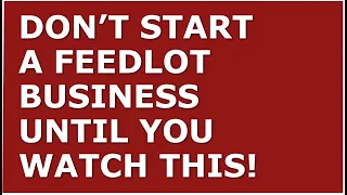 How to Start a Feedlot Business | Free Feedlot Business Plan Template Included