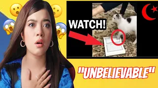 Christian React On Cats Would Not Walk On The Quran (Experiment)