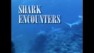 National Geographic: Shark Encounters (1993)