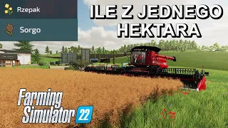 Ile z jednego Hektara ❓❓🌾  Rzepak i Sorgo Farming Simulator 22