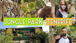 Jungle Park - Tenerife - December 2020 - 4K