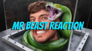 First Time Reacting To MrBeast "Face Your Biggest Fear To Win $800,000"