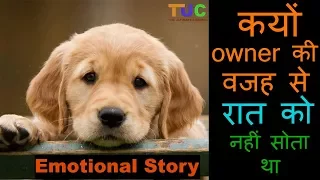 Emotional Story Of a DOG Who Lost TRUST On HUMANS : Dog Stories : The Ultimate Channel