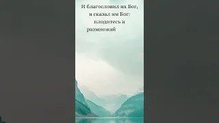 Бытие 1:27-28 (Русская Синодальная Библия) #библия #писание #русскаясинодальнаябиблия #бытие