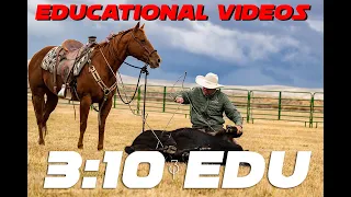 Ranch Roping Instructional Videos