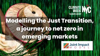 Modelling the Just Transition, a journey to net zero in emerging markets