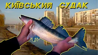 ✅СУДАК в Києві ПРОКИДАЄТЬСЯ! Стрітфішинг 2024✅