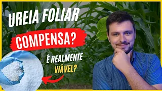 Aplicação de Ureia foliar compensa? é realmente viável?