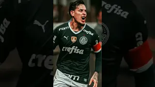 Edit palmeiras