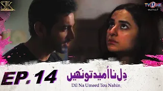 Dil Na Umeed Toh Nahin   Episode 14 | #yumnazaidi  #wahajali  | 19 May 2023 | TVONE | TVONE Drama