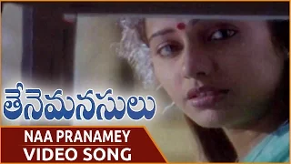 Thene Manasulu Movie || Naa Pranamey Video Song || Krishna, Jaya Prada, Suhasini || Shalimar Movies