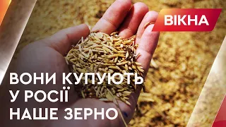 🌾 Вони купують у РФ зерно, яке росіяни награбували в Україні – Олег Нів'євський | Вікна-новини