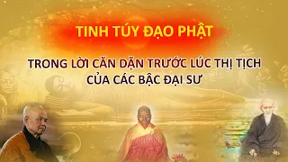 Tinh túy của Đạo Phật trong lời căn dặn trước lúc thị tịch của các bậc Đại Sư - Vạn vật giác ngộ