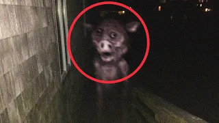 Top 10 Scary American Urban Legends That Will Give You Chills