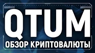 Qtum обзор криптовалюты