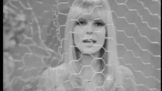 France Gall - Polichinelle