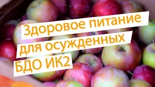 Здоровое питание для осужденных БДО ИК2