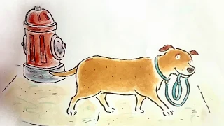 martha walks the dog