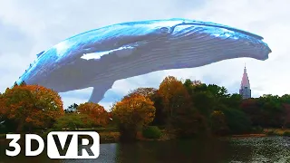 [VR180 3D] Giant Whale | VR VIDEO