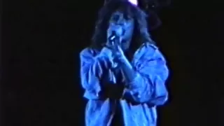 Bon Jovi - The Jersey Syndicate (1988-91)