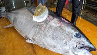 $10,000 Giant bluefin tuna cutting in Taiwan, Luxurious sashimi / 鋒利的刀！巨大黑鮪魚切割技巧, 奢華黑鮪魚金三角